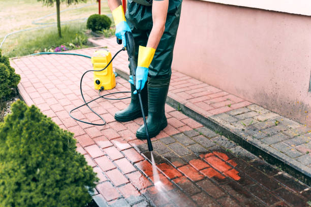 Best Pool Deck Cleaning  in Sleepy Eye, MN